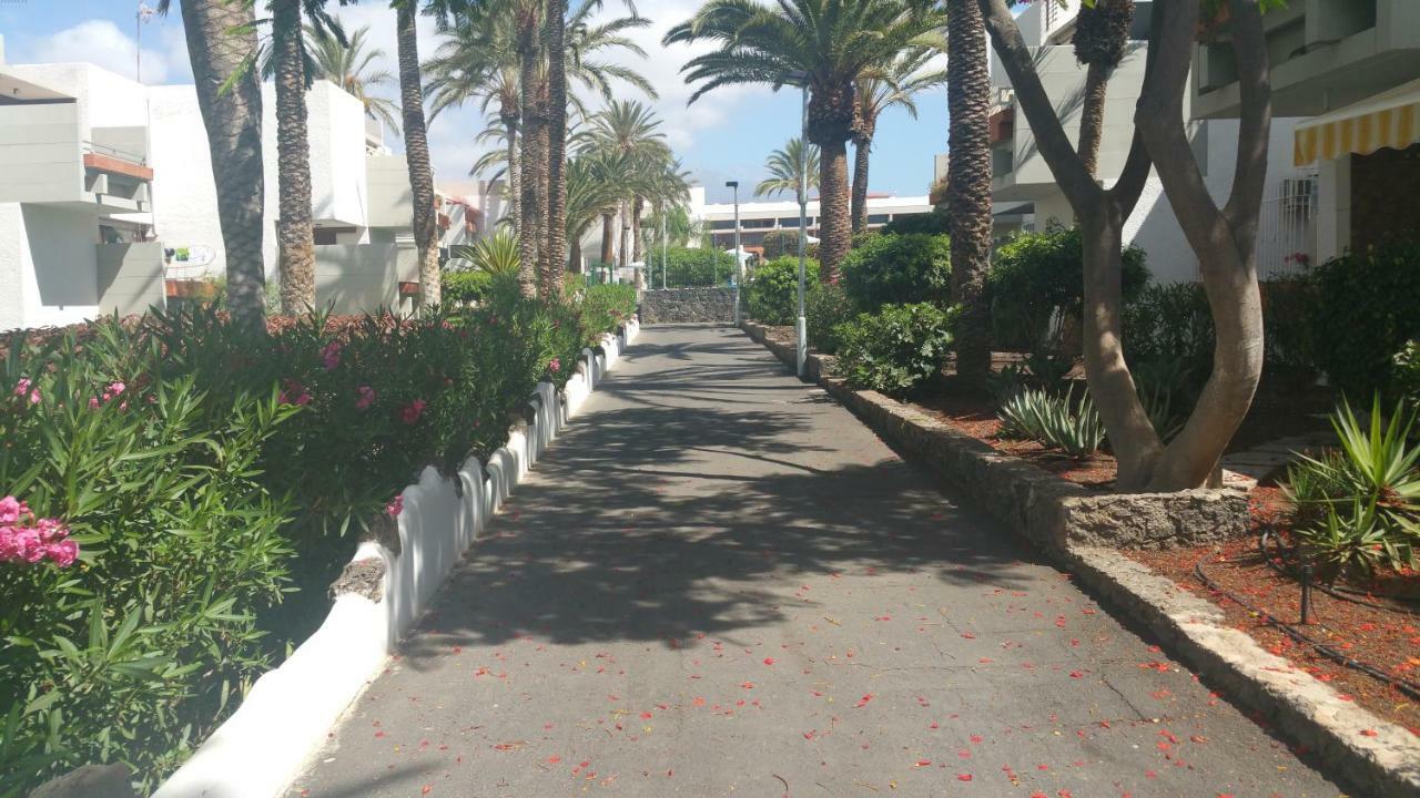Residencial Primavera Costa Del Silencio Exteriér fotografie